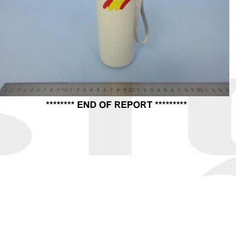 Full-colour printed bamboo fibre tumbler — the actual sample photographed in STQ test report SZ2022041426-1E